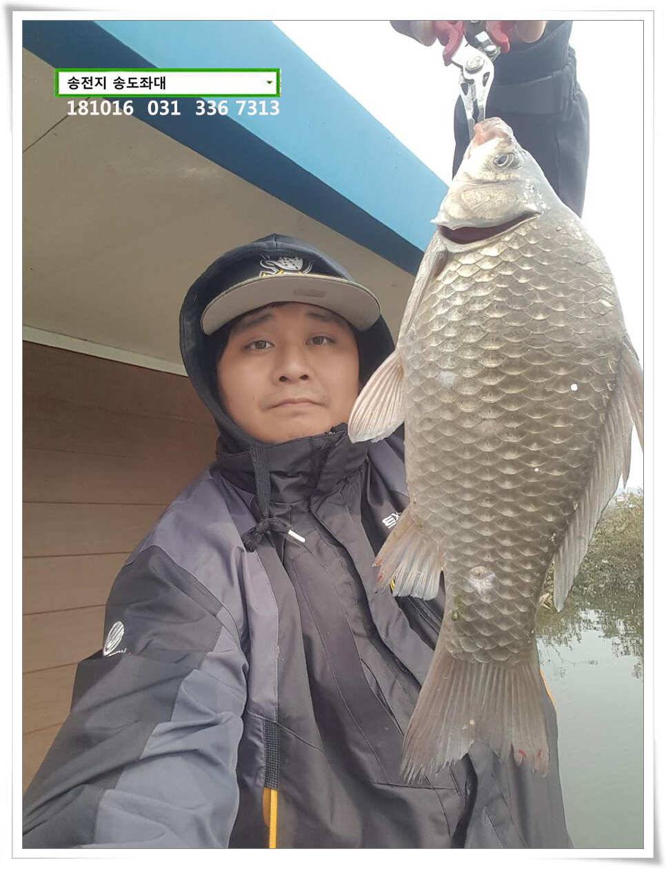 깊은 가을 높은 찌올림 (유료터정보 - 유료터점주조황)