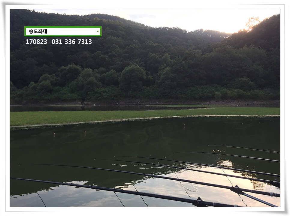 용인송전지 송도좌대 조황 (유료터정보 - 유료터점주조황)