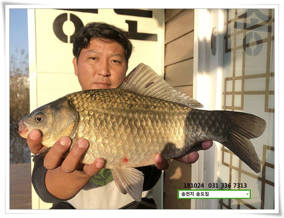 어쩌다 마주친 대물 (유료터정보 - 유료터점주조황)