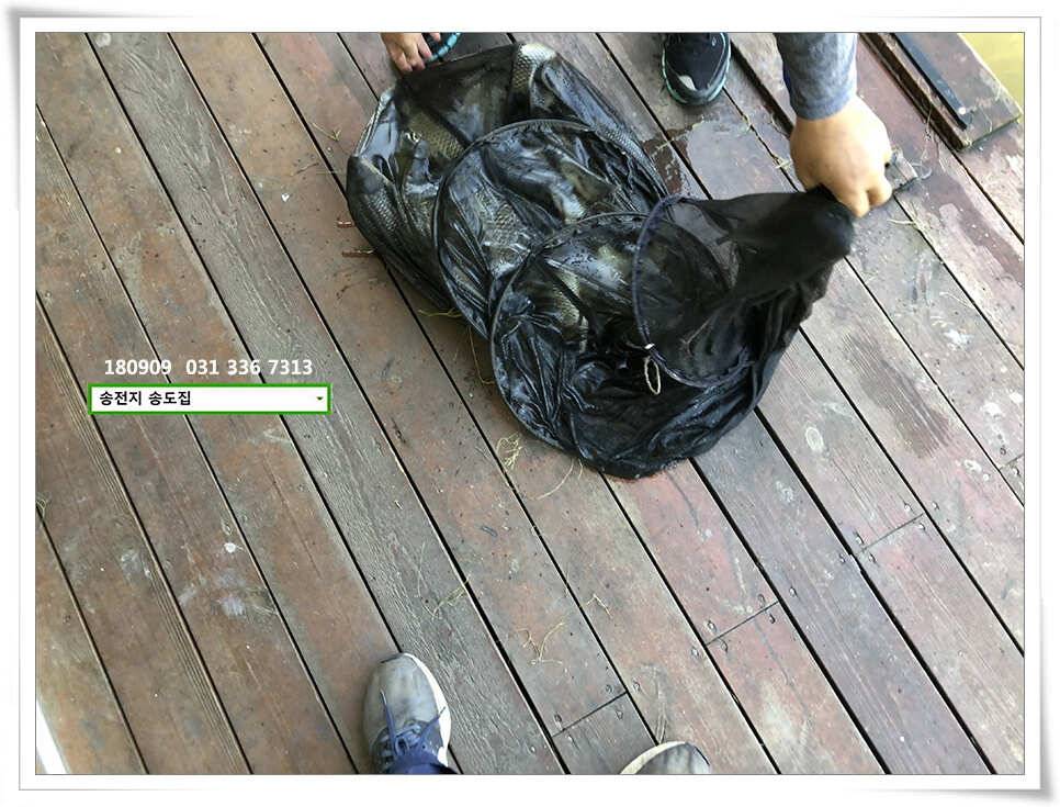 가을걷이 (유료터정보 - 유료터점주조황)