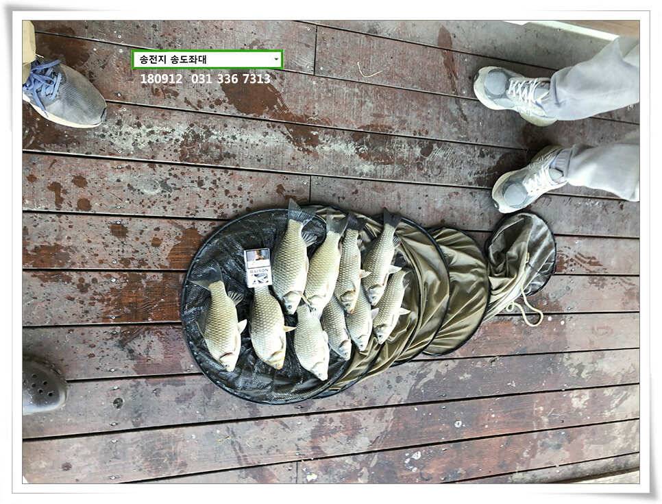 여름 반 가을 반 (유료터정보 - 유료터점주조황)