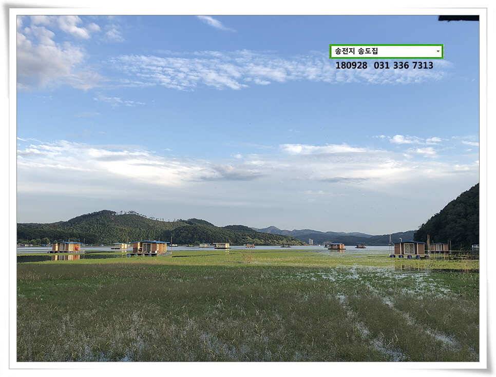 9월 마지막 주말 (유료터정보 - 유료터점주조황)