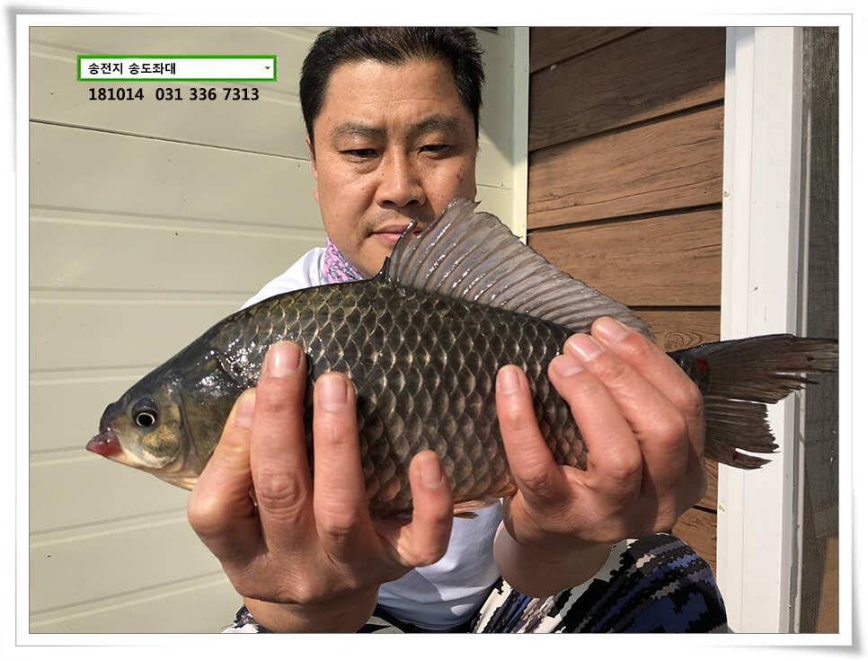한 수 노리기 시전하는 김사장 (유료터정보 - 유료터점주조황)