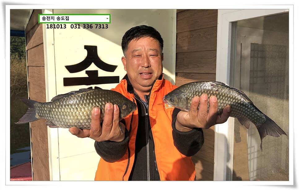 오름장 후 안정세 (유료터정보 - 유료터점주조황)