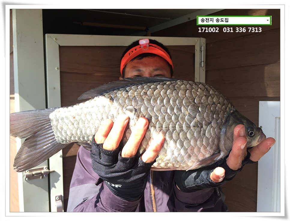 혹부리 4짜 대물시리즈송도좌대 조황 (유료터정보 - 유료터점주조황)