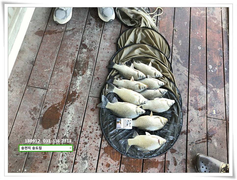 여름 반 가을 반 (유료터정보 - 유료터점주조황)
