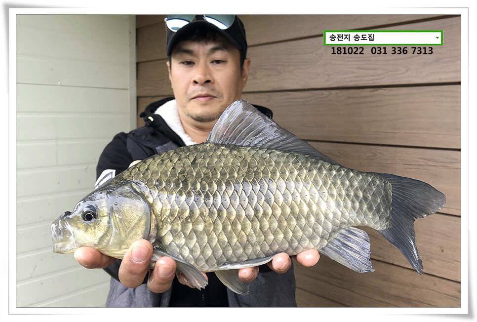 원 샷 원 킬 (유료터정보 - 유료터점주조황)