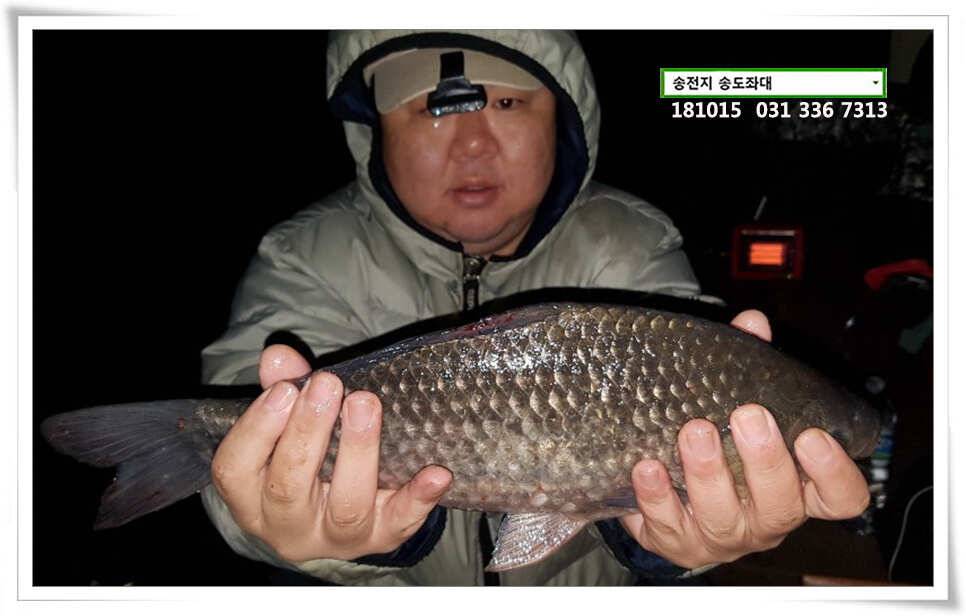 가을 첫 4짜 (유료터정보 - 유료터점주조황)