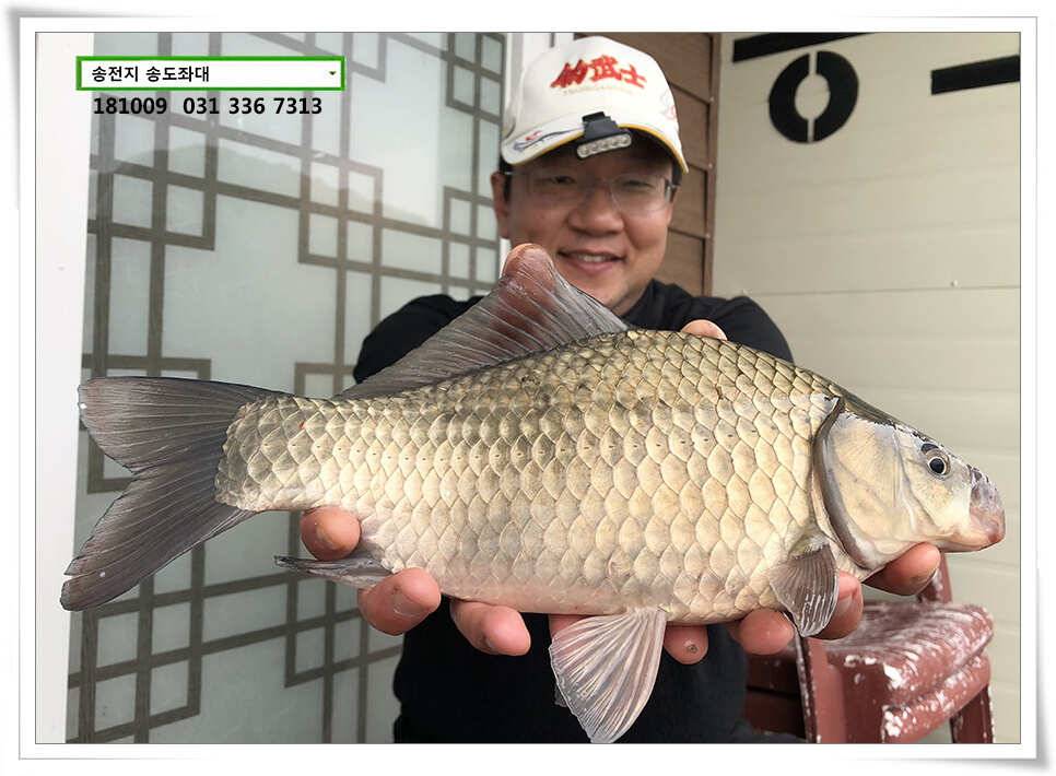 이어진 오름장 (유료터정보 - 유료터점주조황)