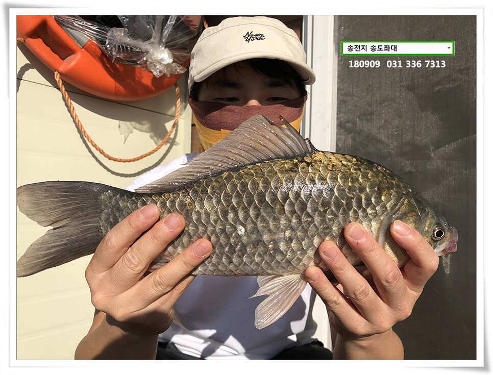 가을걷이 (유료터정보 - 유료터점주조황)