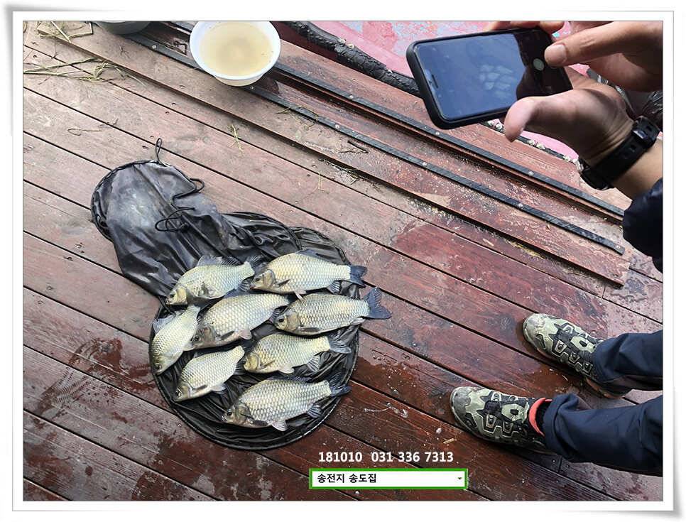 fish_pay_66a7e_095047_77000.jpg