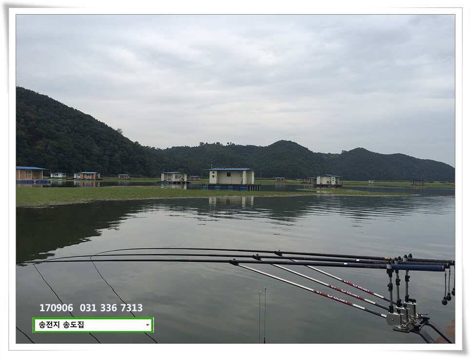 송전지 송도집 좌대 조황 (유료터정보 - 유료터점주조황)