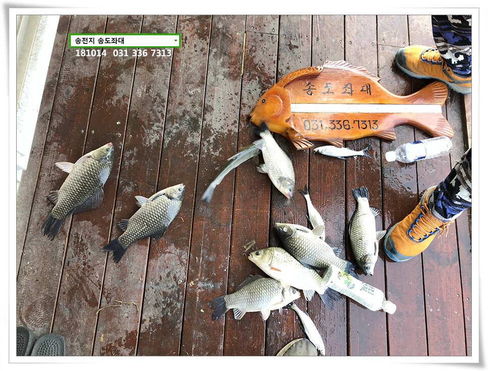 한 수 노리기 시전하는 김사장 (유료터정보 - 유료터점주조황)