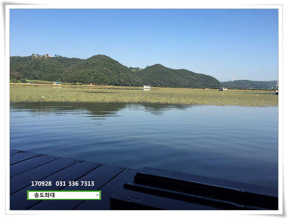 가을路 가을路송전지 송도집 좌대 조황 (유료터정보 - 유료터점주조황)