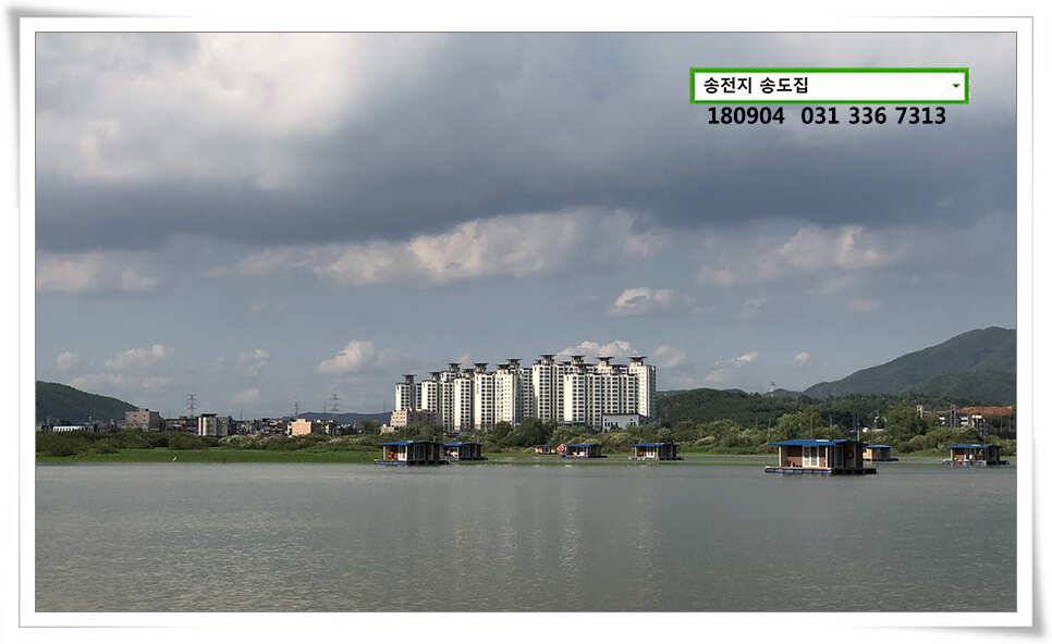 안정된 수위 송전지 송도좌대 조황 (유료터정보 - 유료터점주조황)