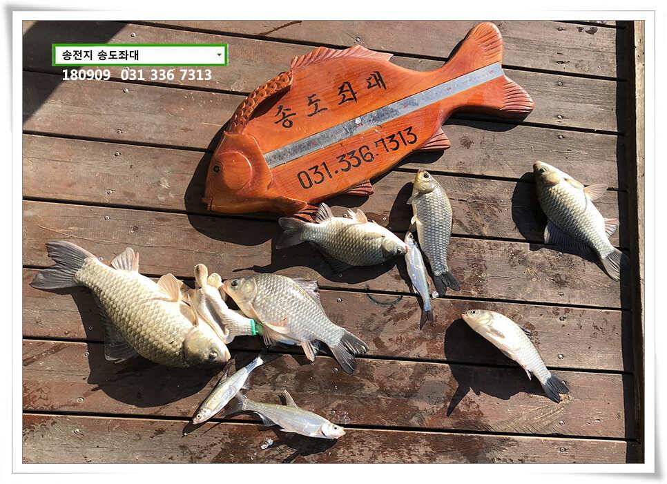 가을걷이 (유료터정보 - 유료터점주조황)