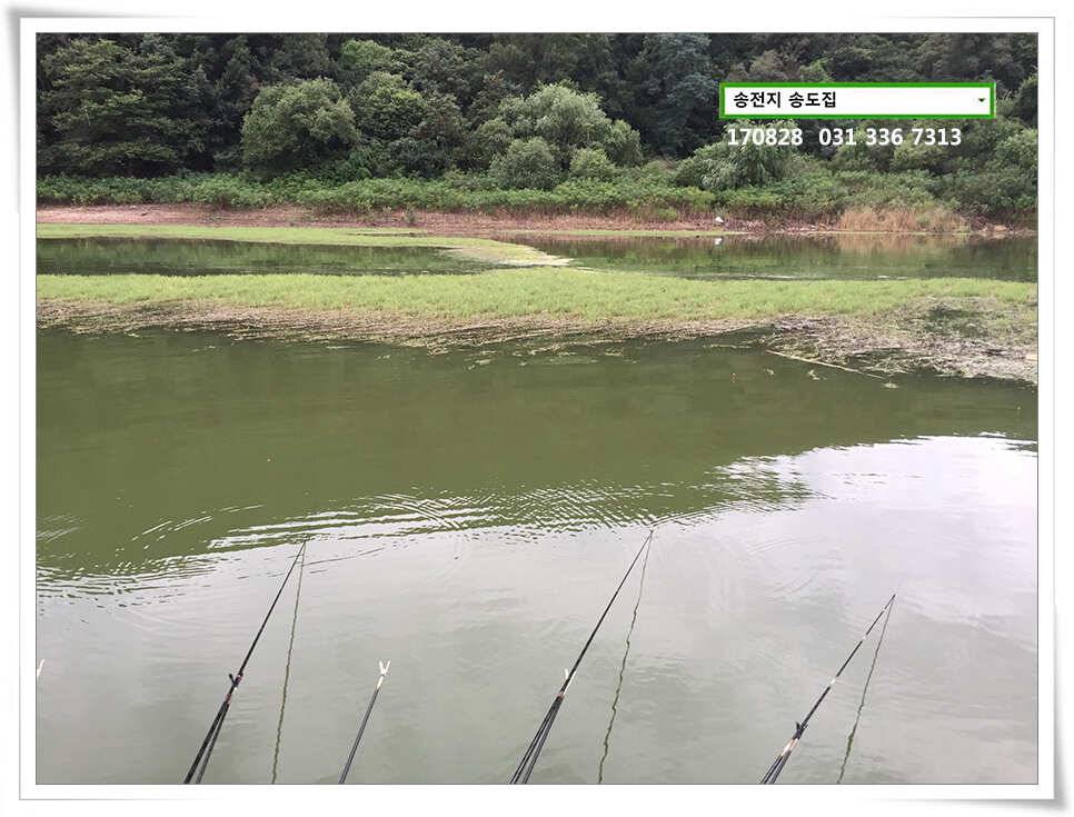 안정된 여건송전지 송도좌대 조황 (유료터정보 - 유료터점주조황)