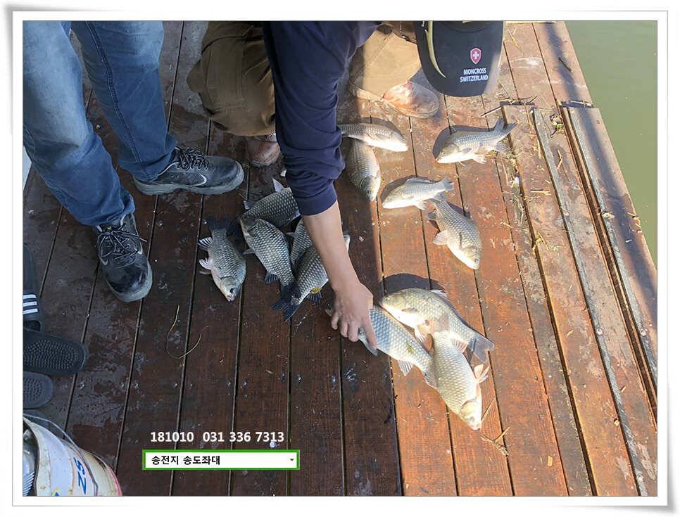 fish_pay_7c7f1_095135_38020.jpg