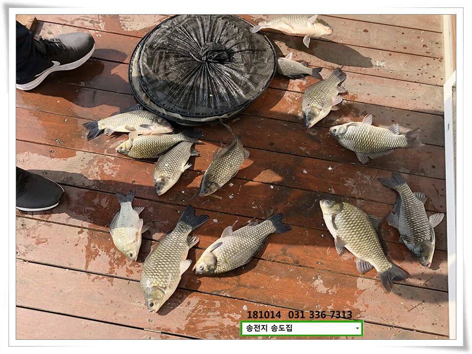 한 수 노리기 시전하는 김사장 (유료터정보 - 유료터점주조황)