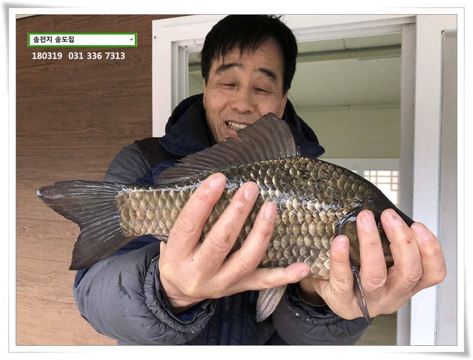 끄물끄물함에 대물 송전지 송도집 조황 (유료터정보 - 유료터점주조황)