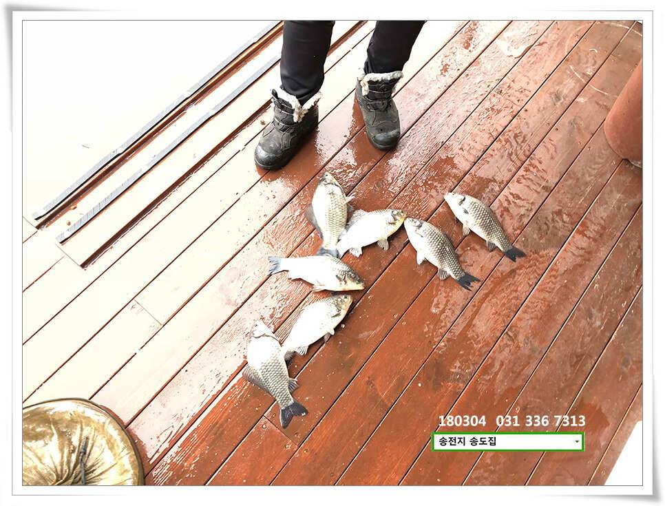 18시즌 첫 날 첫 수송전지 송도좌대 조황 (유료터정보 - 유료터점주조황)