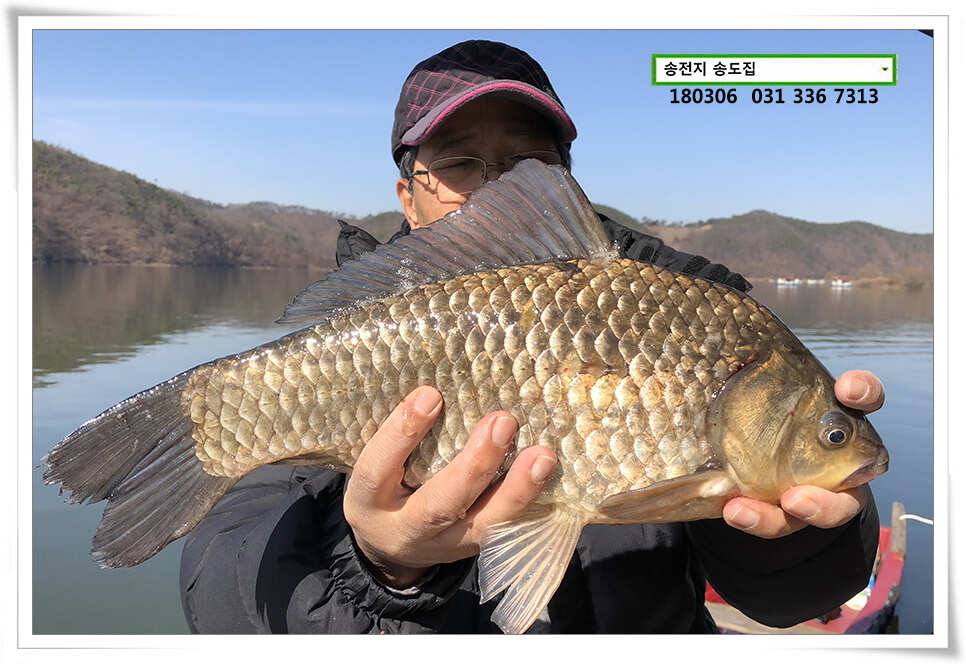 18 시즌 첫 4짜송전지 송도집 조황 (유료터정보 - 유료터점주조황)