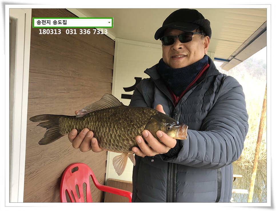42cm 송전지 송도집 좌대 조황 (유료터정보 - 유료터점주조황)