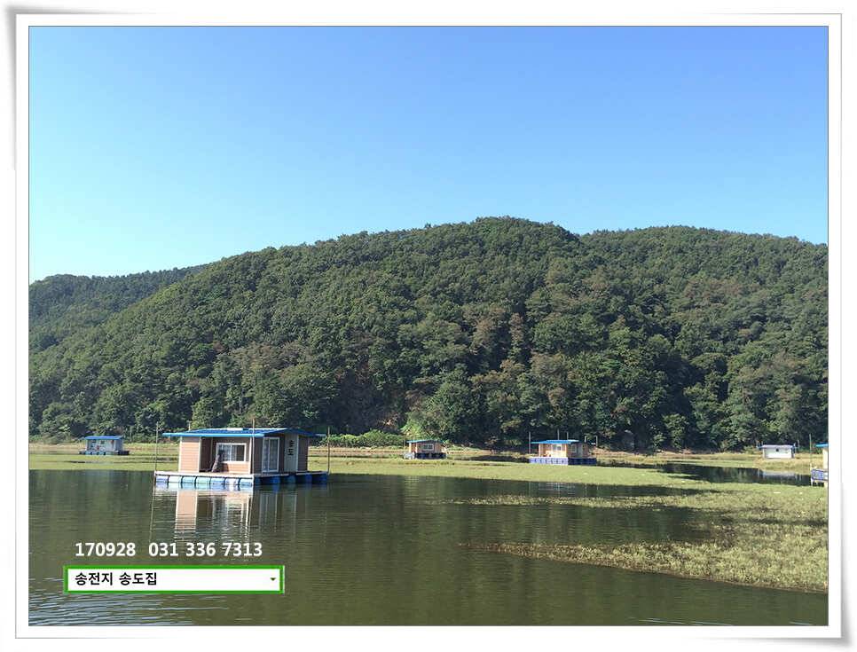 가을路 가을路송전지 송도집 좌대 조황 (유료터정보 - 유료터점주조황)