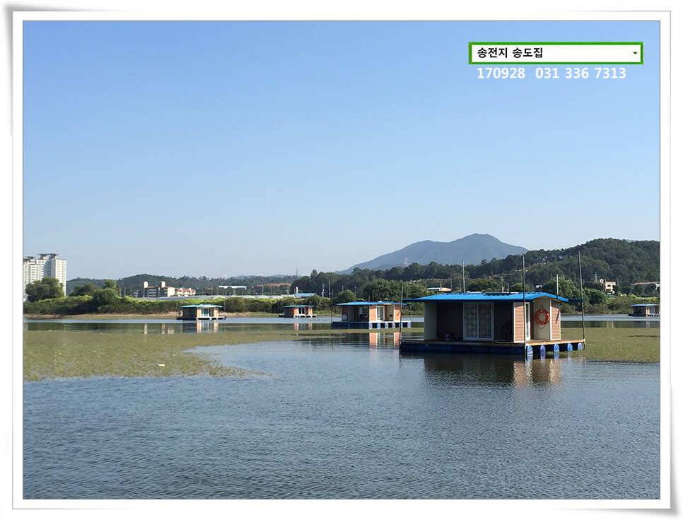 가을路 가을路송전지 송도집 좌대 조황 (유료터정보 - 유료터점주조황)