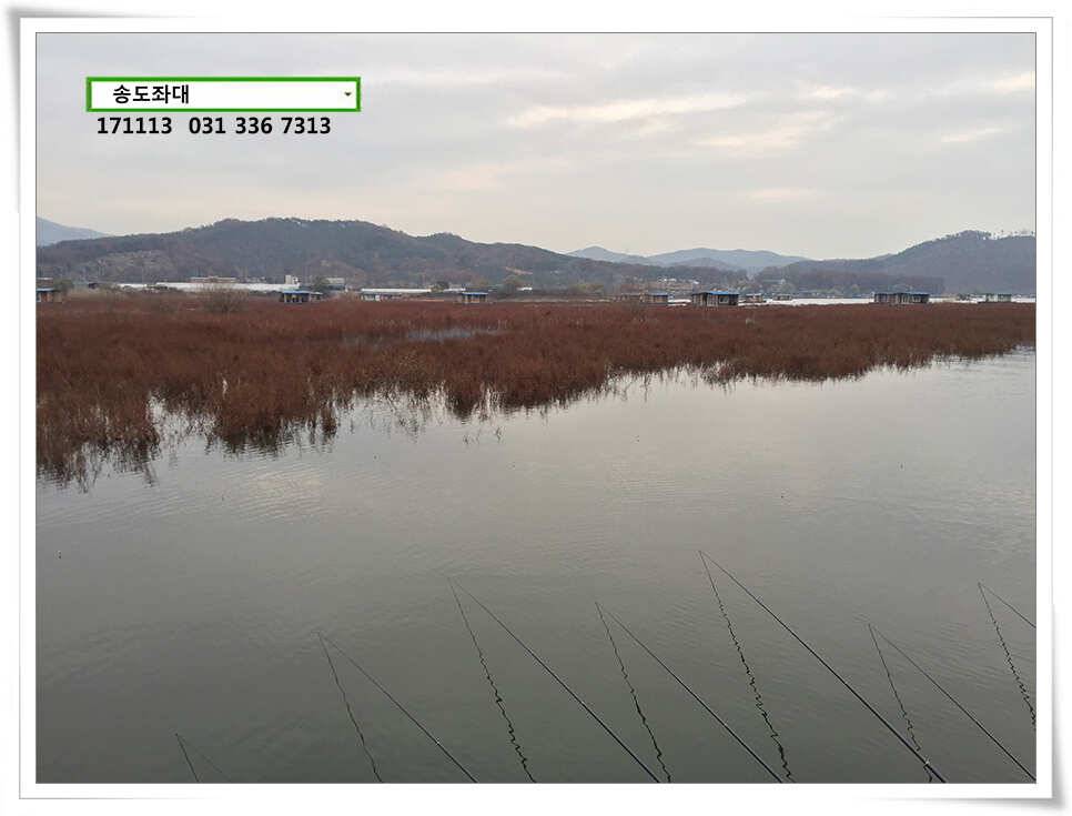 송전지 송도좌대 조황 (유료터정보 - 유료터점주조황)