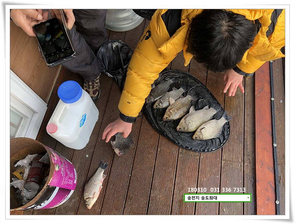 된서리에도 대물송전지 송도집 좌대 조황 (유료터정보 - 유료터점주조황)