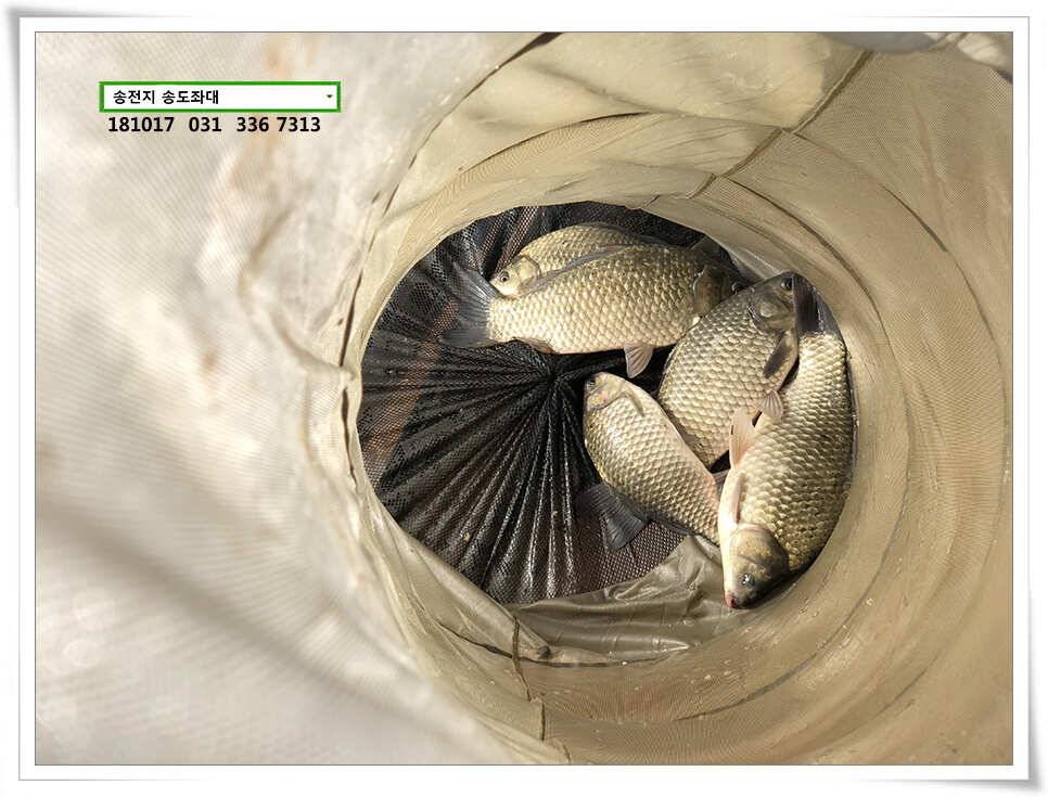 깊은 가을 높은 찌올림 (유료터정보 - 유료터점주조황)