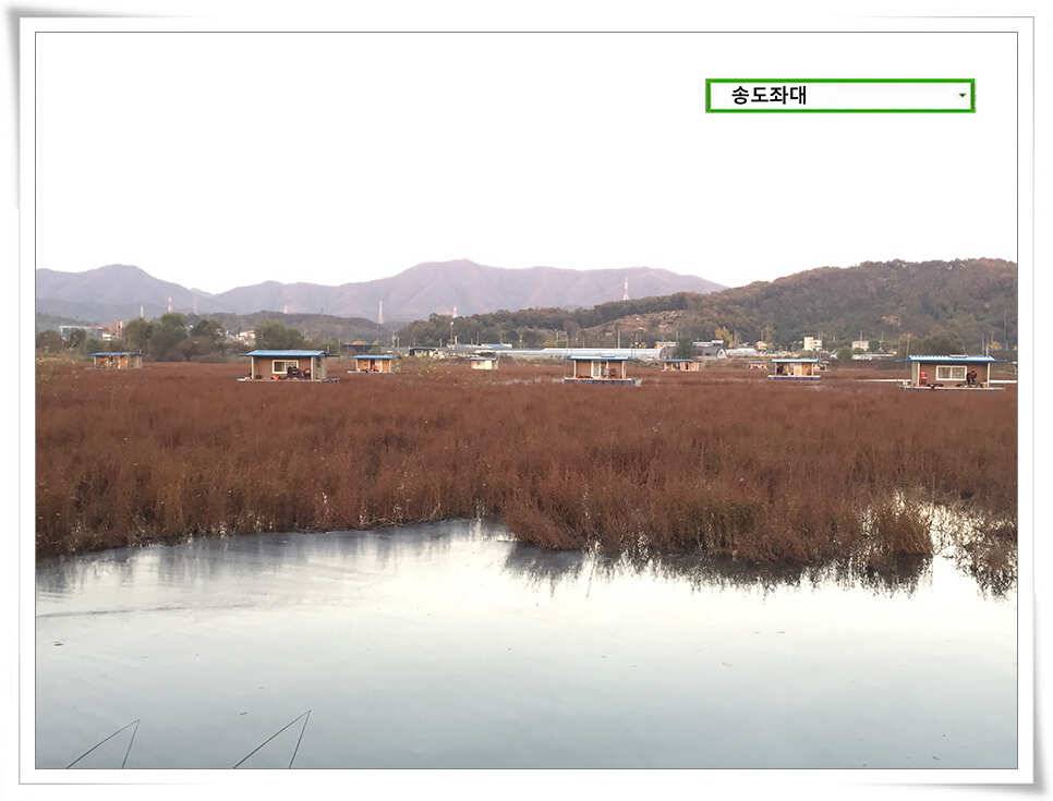 겨울 전 가을녘송도좌대 조황 (유료터정보 - 유료터점주조황)