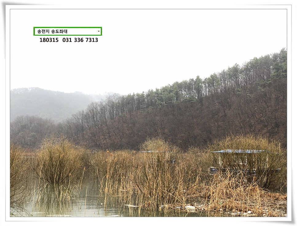 비와 대물의 이야기 송전지 송도집 좌대 조황 (유료터정보 - 유료터점주조황)