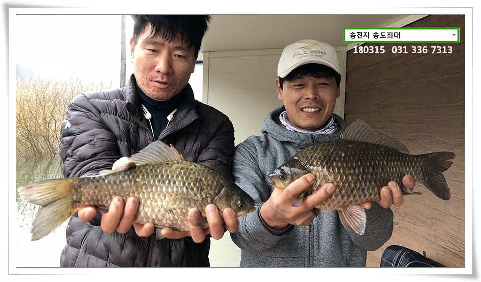 비와 대물의 이야기 송전지 송도집 좌대 조황 (유료터정보 - 유료터점주조황)