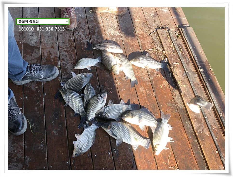 fish_pay_997ab_095132_27345.jpg