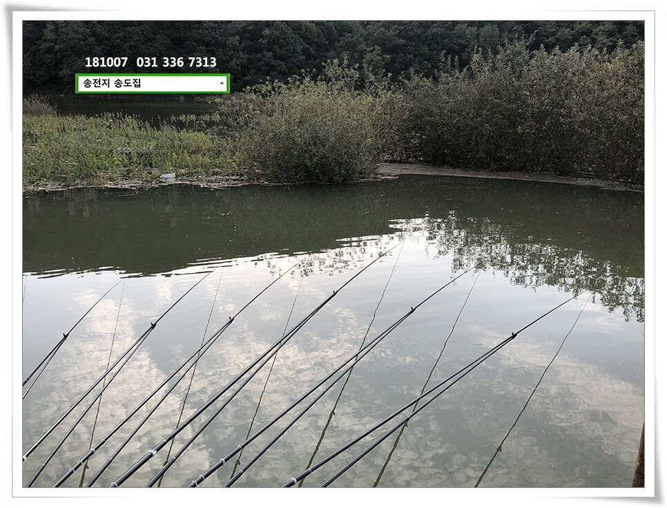 봄 자리 입성 후 (유료터정보 - 유료터점주조황)