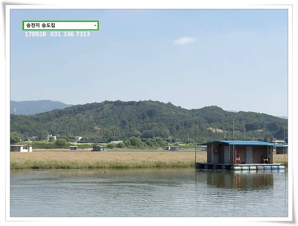 가을路 가을路송전지 송도집 좌대 조황 (유료터정보 - 유료터점주조황)