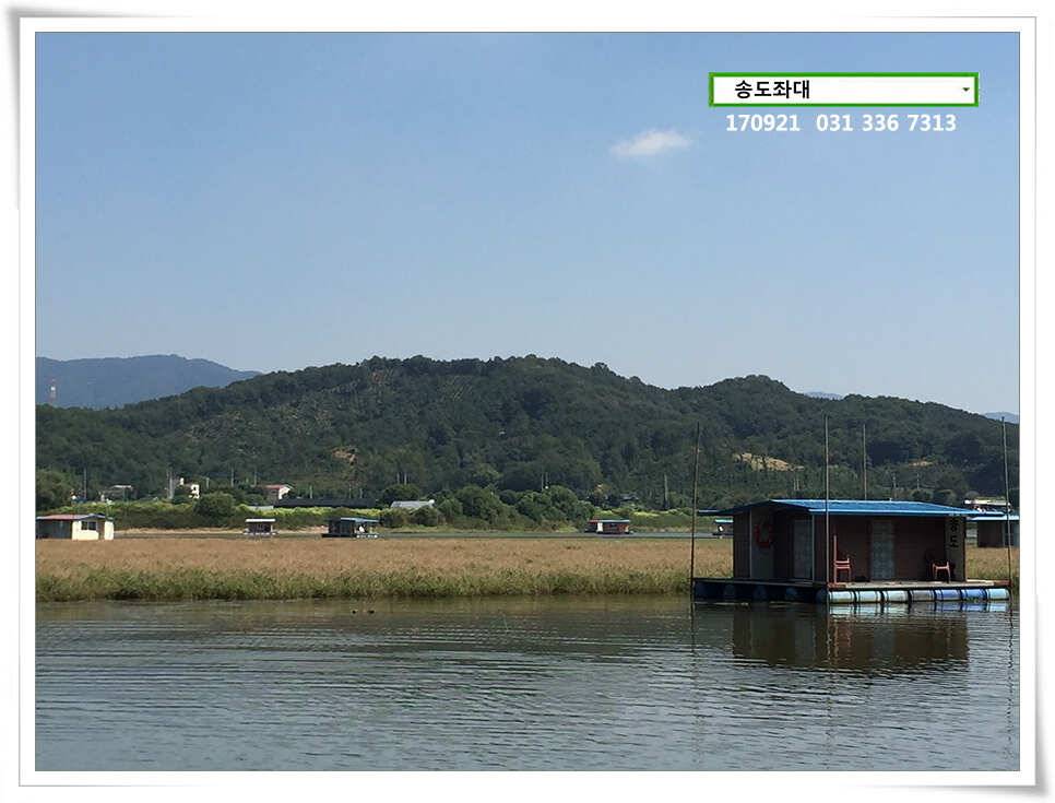위치변경송전지 송도 좌대 조황 (유료터정보 - 유료터점주조황)