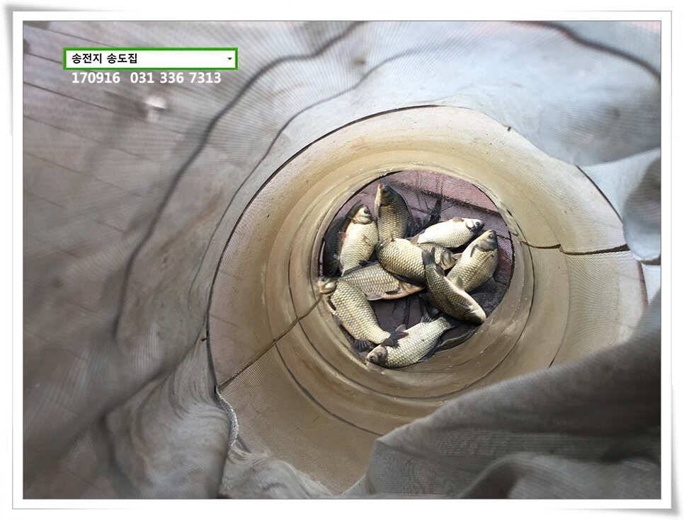대물의 귀환송도좌대 조황 (유료터정보 - 유료터점주조황)