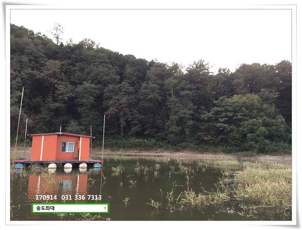 일교차 주의송전지 송도집 좌대 조황 (유료터정보 - 유료터점주조황)