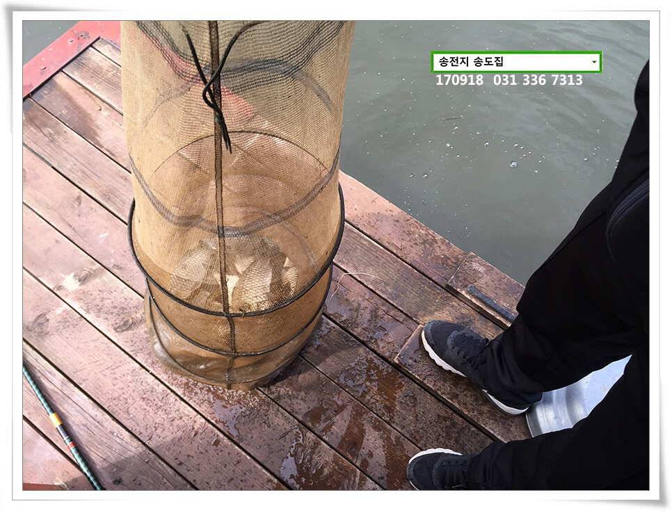 가을 분위기에송전지 송도 좌대 조황 (유료터정보 - 유료터점주조황)