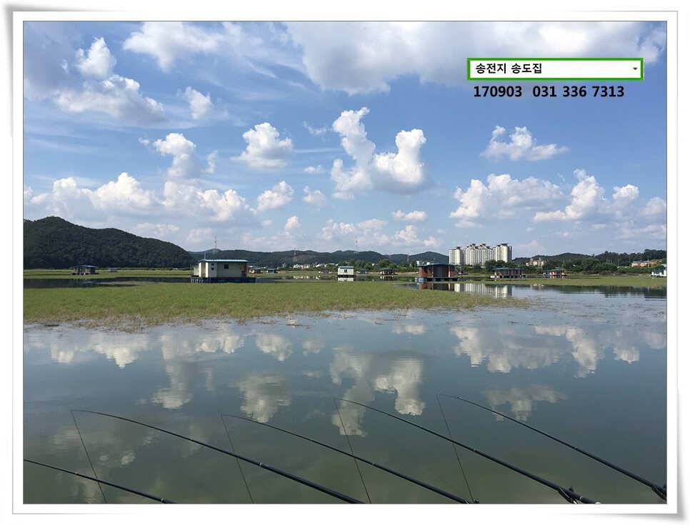 송전지 송도좌대 조황 (유료터정보 - 유료터점주조황)