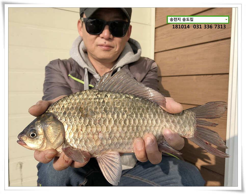 한 수 노리기 시전하는 김사장 (유료터정보 - 유료터점주조황)