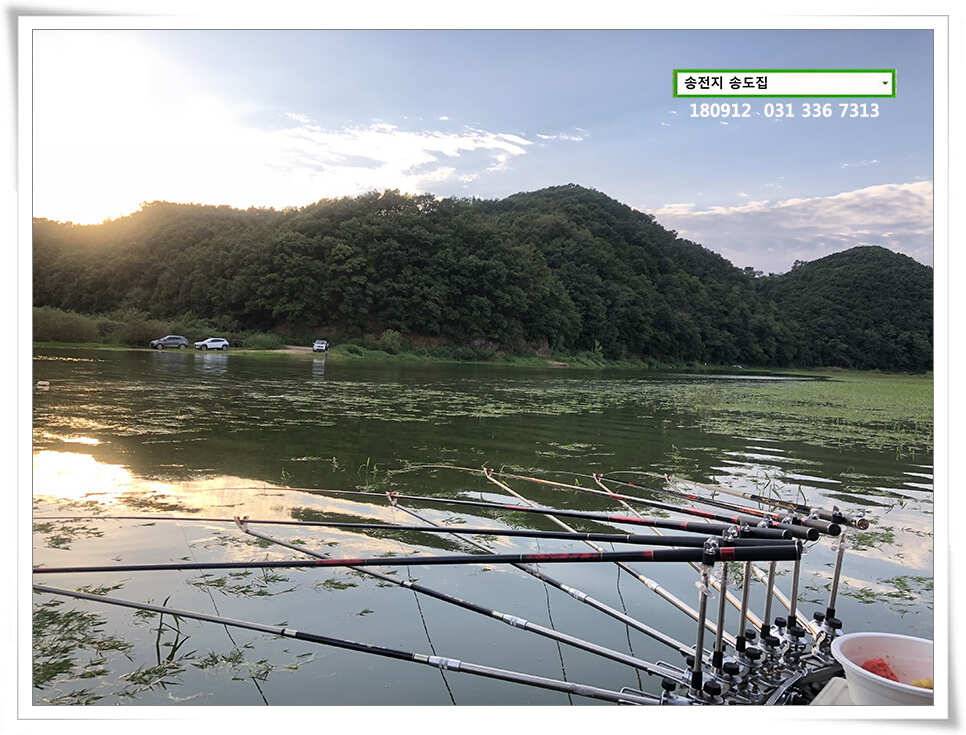 여름 반 가을 반 (유료터정보 - 유료터점주조황)