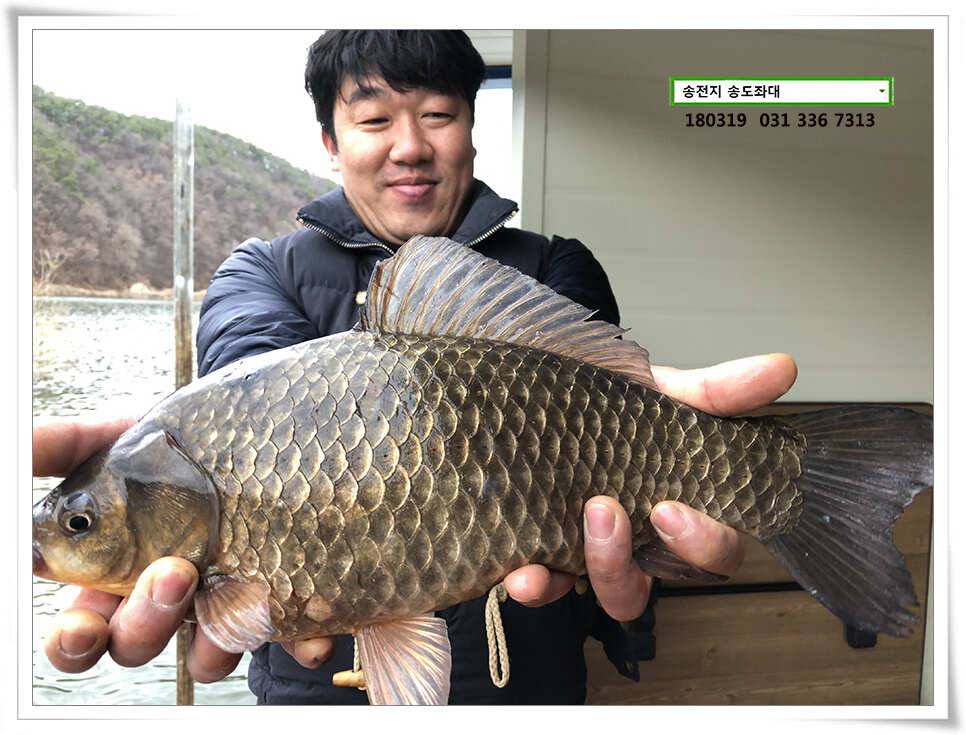끄물끄물함에 대물 송전지 송도집 조황 (유료터정보 - 유료터점주조황)