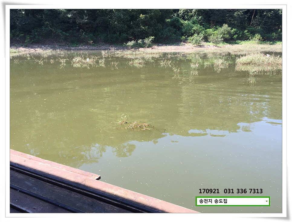 위치변경송전지 송도 좌대 조황 (유료터정보 - 유료터점주조황)