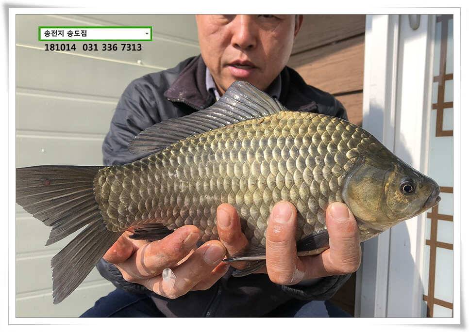 한 수 노리기 시전하는 김사장 (유료터정보 - 유료터점주조황)
