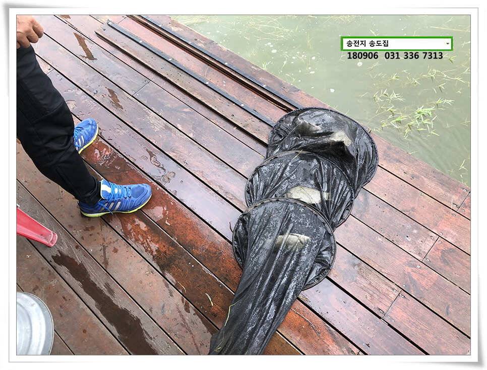 가을 앞 송도좌대 조황 (유료터정보 - 유료터점주조황)