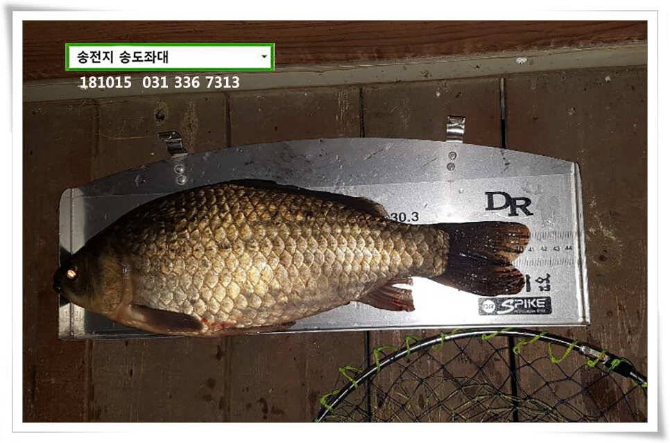 가을 첫 4짜 (유료터정보 - 유료터점주조황)